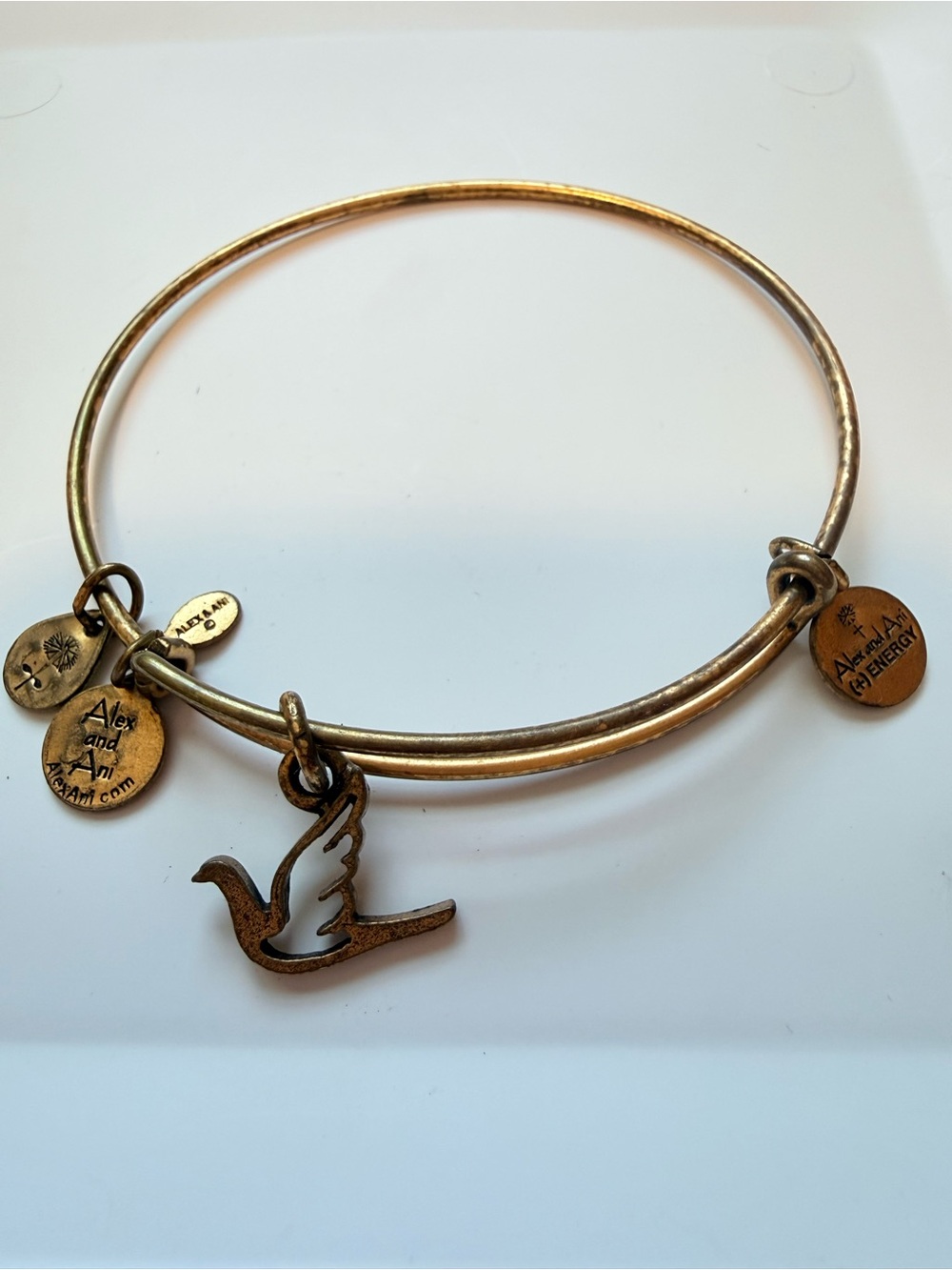 Alex and Ani Bangle